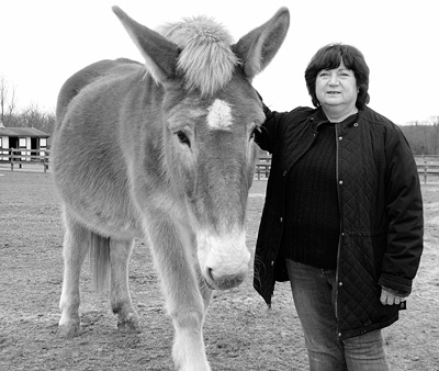 The mule Emma, one of the animals rescued by Equine Advocates, stands with the group’s founder and president, Susan Wagner. The group currently cares for 81 animals at its sanctuary in Chatham. Susan Sabino photo