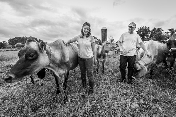 Samantha and Chris Kemnah walk among the cows at Clover Bliss Farm, their 2-year-old organic, grass-fed dairy operation in Argyle, N.Y. Joan Lentini photos