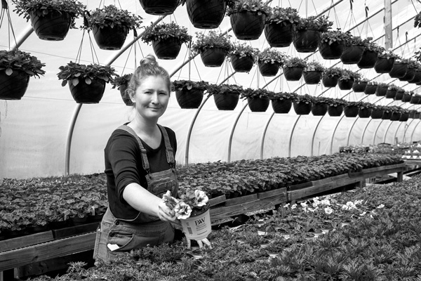 Aliza Pickering, seen here at her parents’ greenhouse and garden center in Arlington, Vt., has set up a membership group that provides subscribers with fresh local produce from area farms, including her own, through a roadside farm stand in Saratoga County. Joan K. Lentini photo