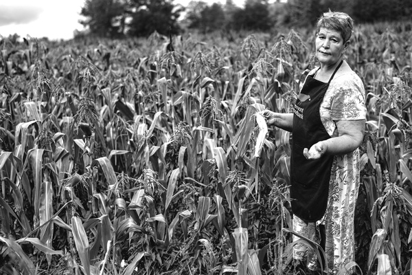 Michelle Bates of Wellsmere Farm holds a small ear of corn that by late August should have reached full size. She says very dry conditions this summer have left her corn and some other crops struggling. Joan K. Lentini photo